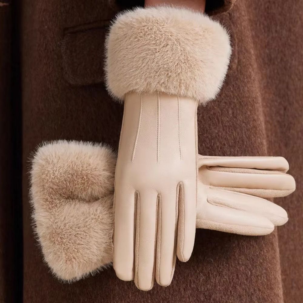 Sarung Tangan Kulit Wanita Ber - Winter Glove Insulated ulasan dan harga